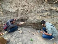 Temuan Struktur Batu Kuno Peninggalan Abad 14 di Bondowoso Diteliti